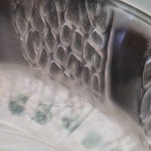 Meet your Posher, Summer